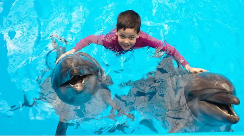 Dolphin close encounter Bahamas