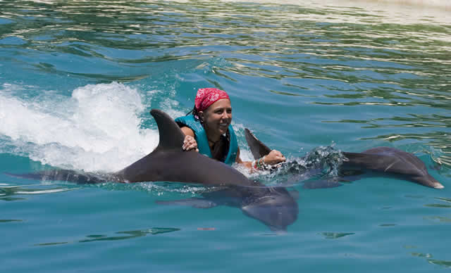 Dolphin close encounter Bahamas