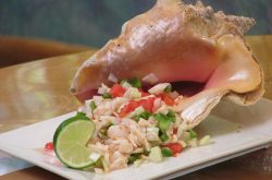 Bahamian national dish is Conch
