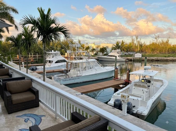 Dolphin Cove Grand Bahama Island