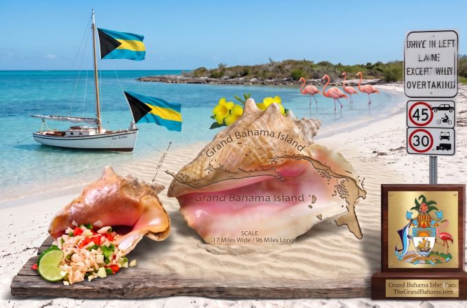 Grand Bahama Island facts